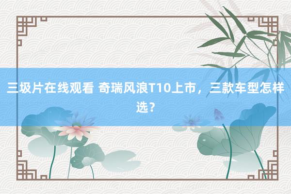 三圾片在线观看 奇瑞风浪T10上市，三款车型怎样选？