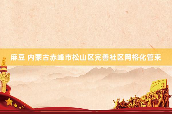 麻豆 内蒙古赤峰市松山区完善社区网格化管束