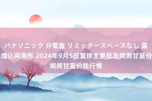 パナソニック 分電盤 リミッタースペースなし 露出・半埋込両用形 2024年9月5日寰球主要批发阛阓甘蓝价钱行情