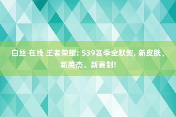 白丝 在线 王者荣耀: S39赛季全默契， 新皮肤、新英杰、新赛制!
