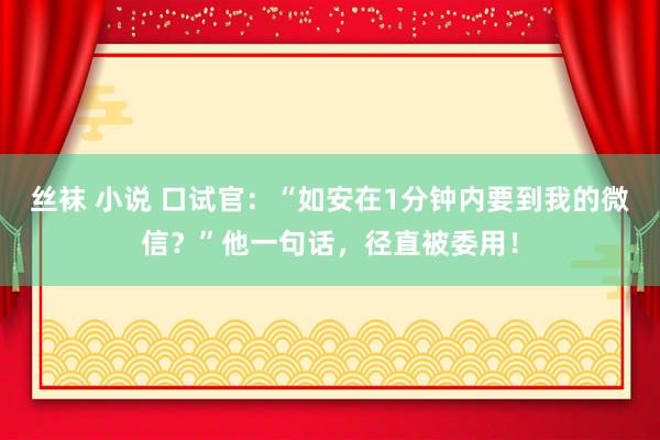 丝袜 小说 口试官：“如安在1分钟内要到我的微信？”他一句话，径直被委用！